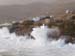 thalassa 301